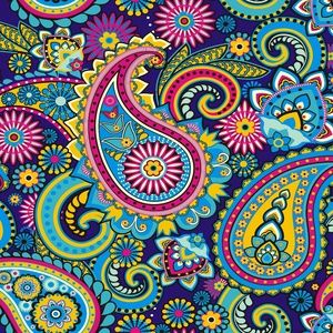 Meet your Posher, Taylor